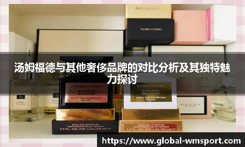 汤姆福德与其他奢侈品牌的对比分析及其独特魅力探讨