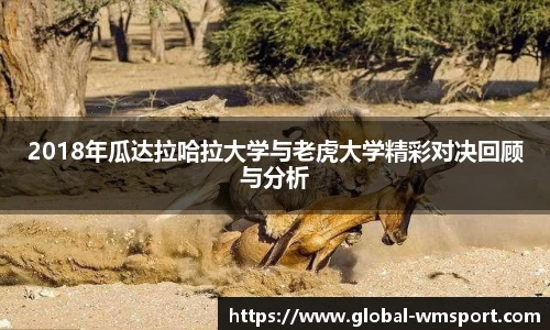 完美体育官网